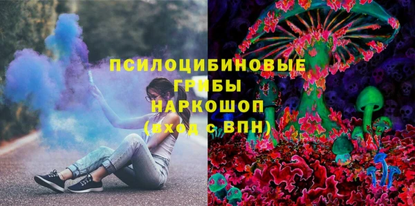 гашик Володарск