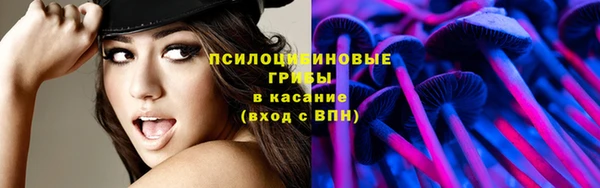 гашик Володарск