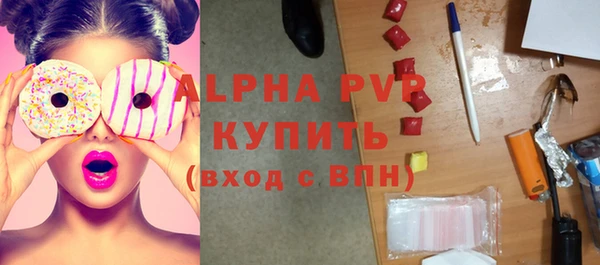 эйфоретик Бородино