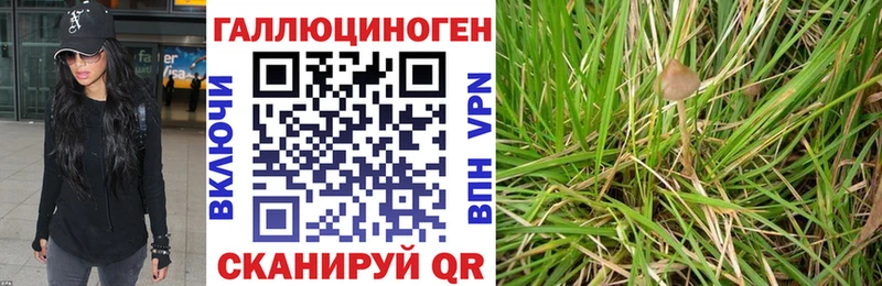 KRAKEN вход  наркотики  Заводоуковск  Псилоцибиновые грибы ЛСД 
