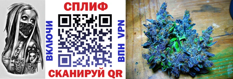 Шишки марихуана ГИДРОПОН  Заводоуковск 